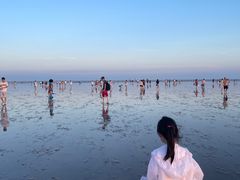 -奉贤海滩