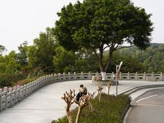 -火炉山森林公园