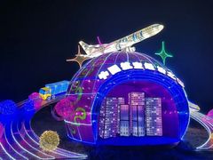 -空港花田景区
