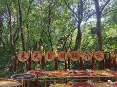 -天目湖山水园