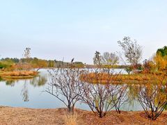 -东郊湿地公园