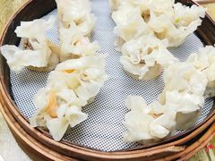 招牌鲜肉烧麦-晓友烧麦(光华村店)