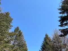-吉林市朱雀山国家森林公园