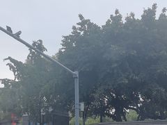 -四川大学(望江校区)