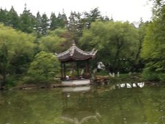 -瀛洲公园