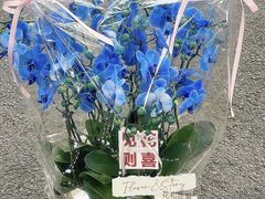 -F.Story 花和故事(新天地店)