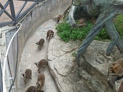 -灵玲国际马戏城