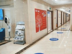 -碧莲盛·不剃发植发