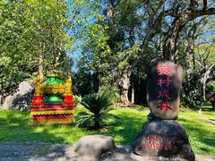 -瑞丽独树成林风景区