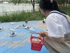 -水上乐园·欢乐世界