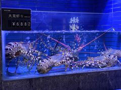 -徐记海鲜(曲江南湖店)