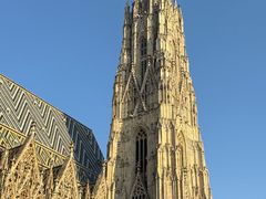 -斯蒂芬主教座堂(Stephansdom)