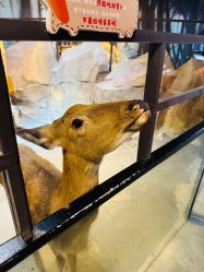 -酷嗒动物文化乐园(cutezoo西溪乐天城店)