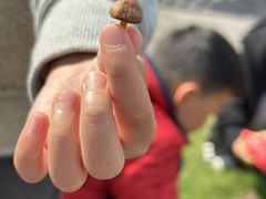 -大宁国际幼儿园(永和东路)