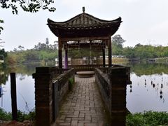 -老木棉·匠园