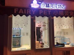 -宠伴小精灵宠物店(鼓楼店)