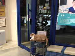 -伟伟宠物医院·CT影像中心·瑞派犬猫综合性门诊(汉口总院)