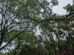 -东湖生态旅游风景区