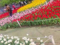 -沈阳植物园