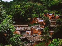 -杨家堂村