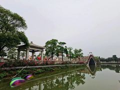 -三水森林公园