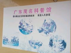 -广东茂名森林公园