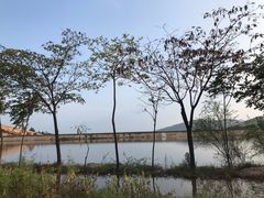 -嵖岈山风景区
