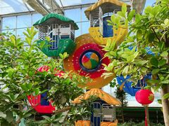 -南宫五洲植物乐园