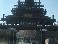 -千年银杏谷文化旅游区