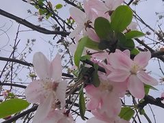 -桂溪生态公园