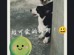 -自由生长植物工作室(深港花卉中心店)