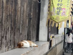 -鸣鹤古镇