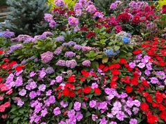 -庐山风景区花径公园