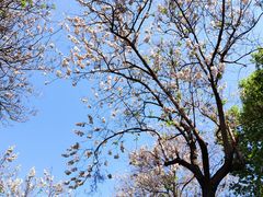 -北京邮电大学