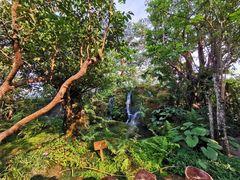 -Chom Cafe and Restaurant