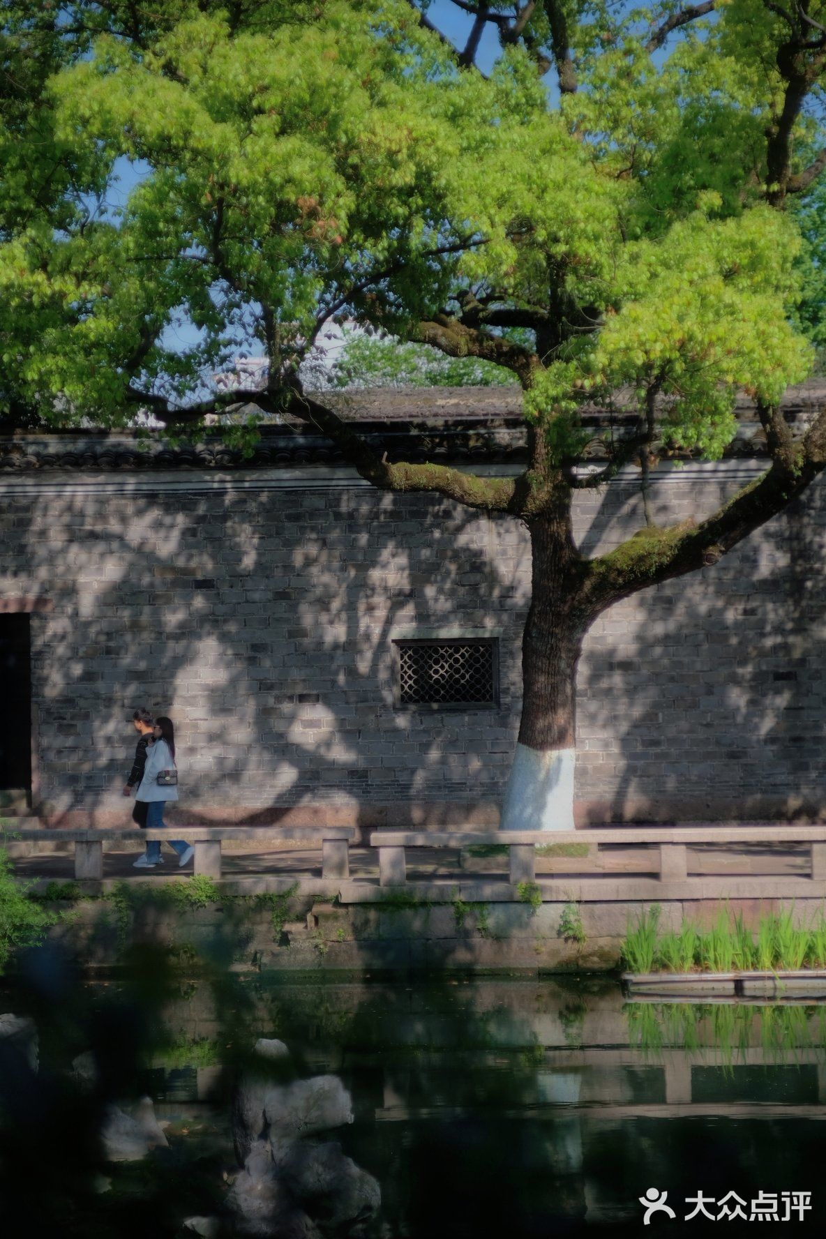游宁波「景」令人流连忘返富有历史底蕴和人文景观的城市湖泊公园