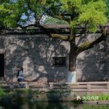 游宁波「景」令人流连忘返富有历史底蕴和人文景观的城市湖泊公园