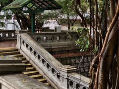 -香港佐治五世纪念公园