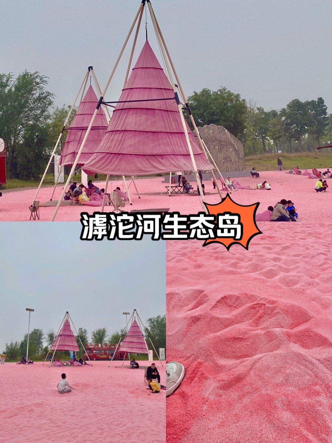 滹沱河生态岛免费上岛啦