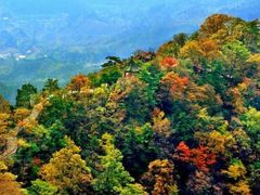 -王顺山国家森林公园
