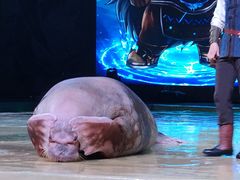 -哈尔滨波塞冬海底世界