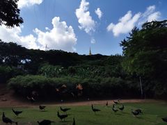 -西双版纳勐泐文化旅游区