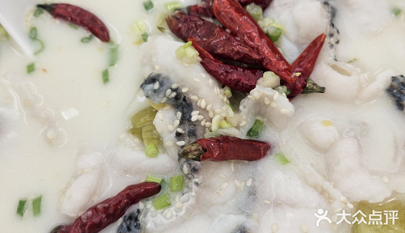 环境超好的大树