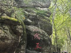 -汤旺河林海奇石景区