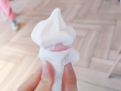 -麦当劳(塔园路店)