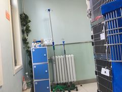 -纳吉亚猫专科动物医院博雅分院