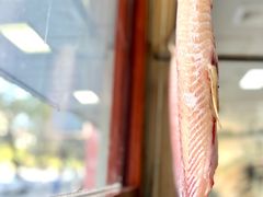 -官塘陈记鱼生·潮汕砂锅粥·牛肉火锅(潮枫路总店)