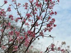 -文华公园(禅城区)