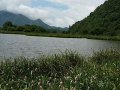 -神农架景区