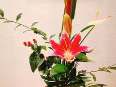 -春水堂人文茶馆(高雄梦时代店)